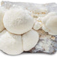 1/2 lb. Lion's Mane